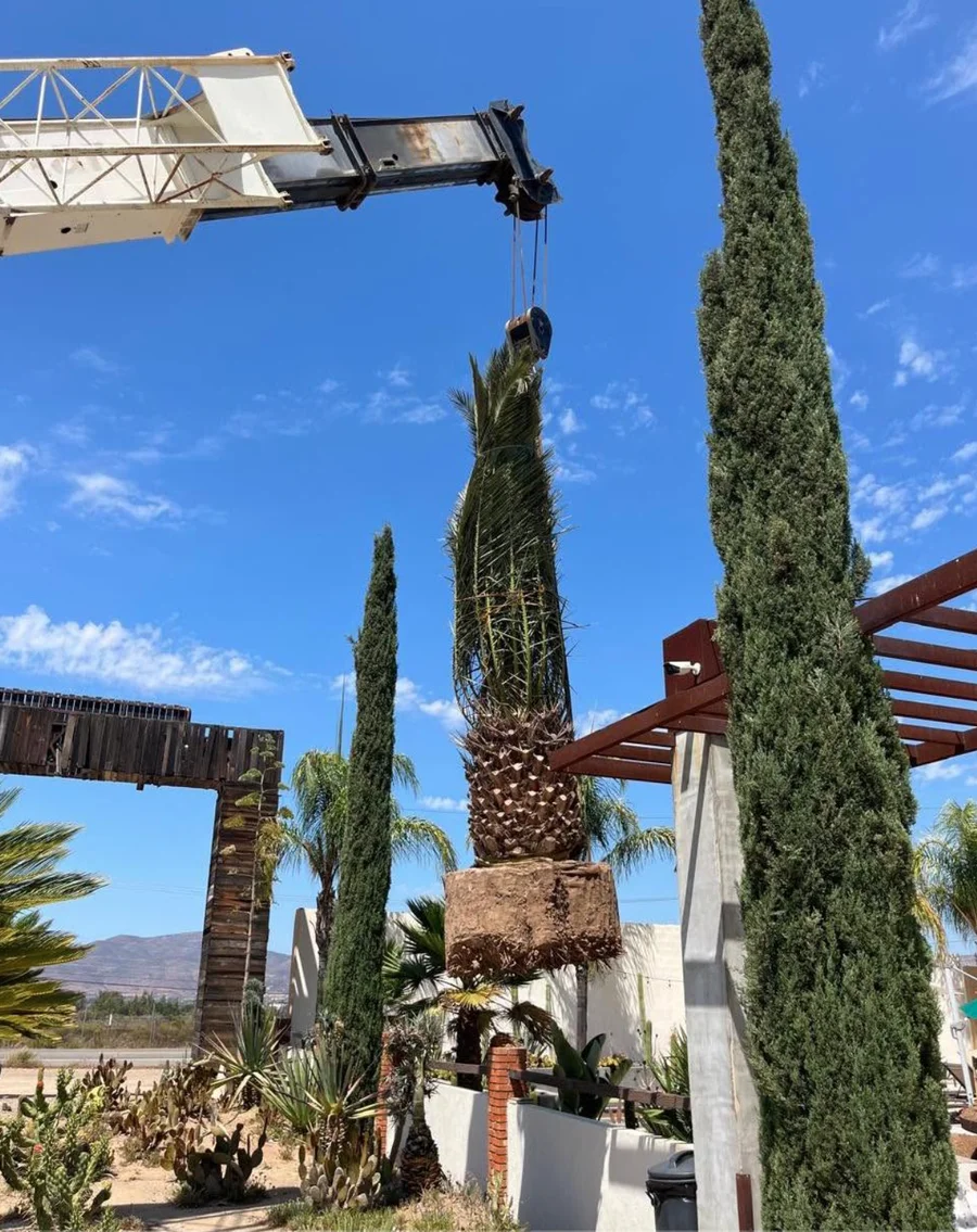 Proyecto Baja Verde