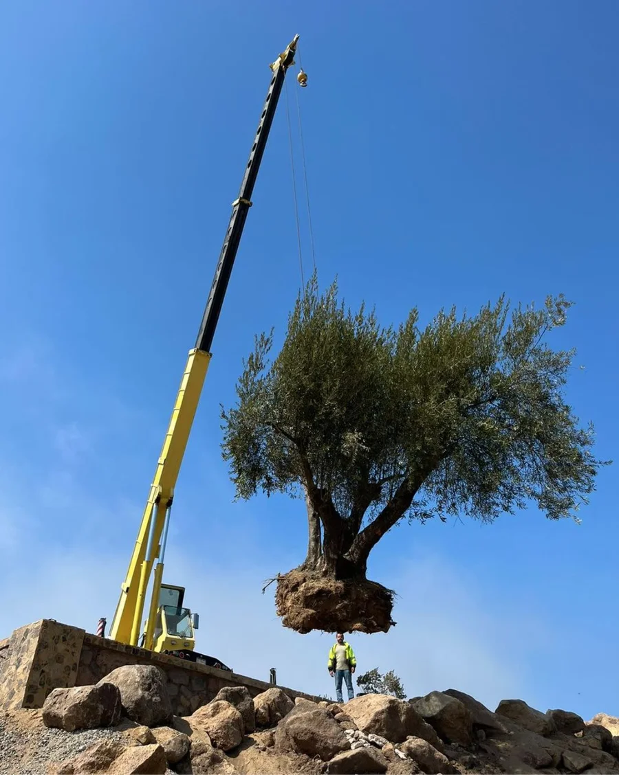 Proyecto Baja Verde