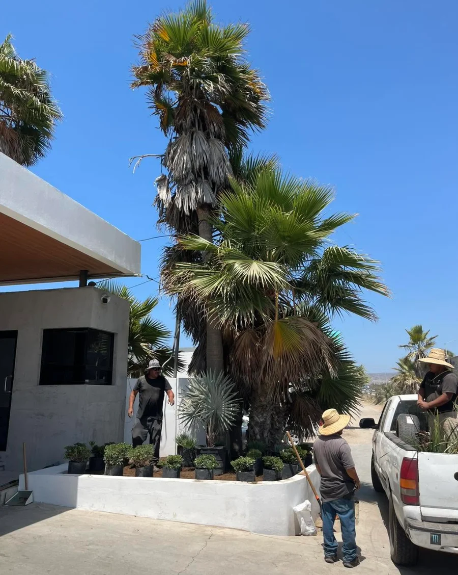 Proyecto Baja Verde