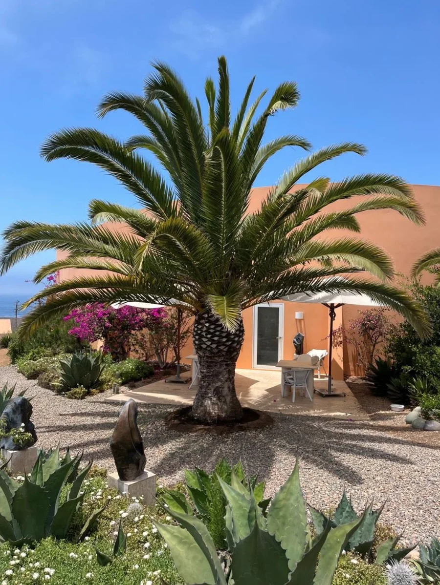 Proyecto Baja Verde