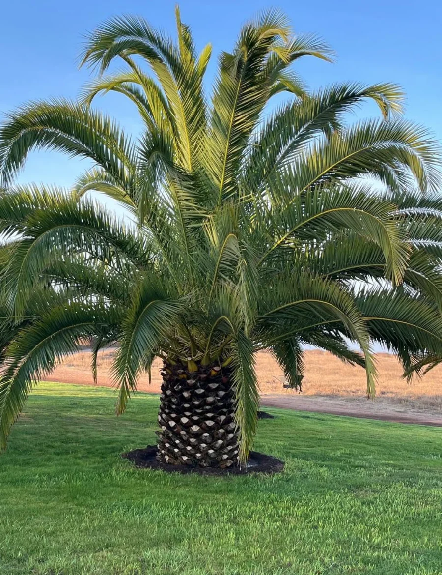 Proyecto Baja Verde