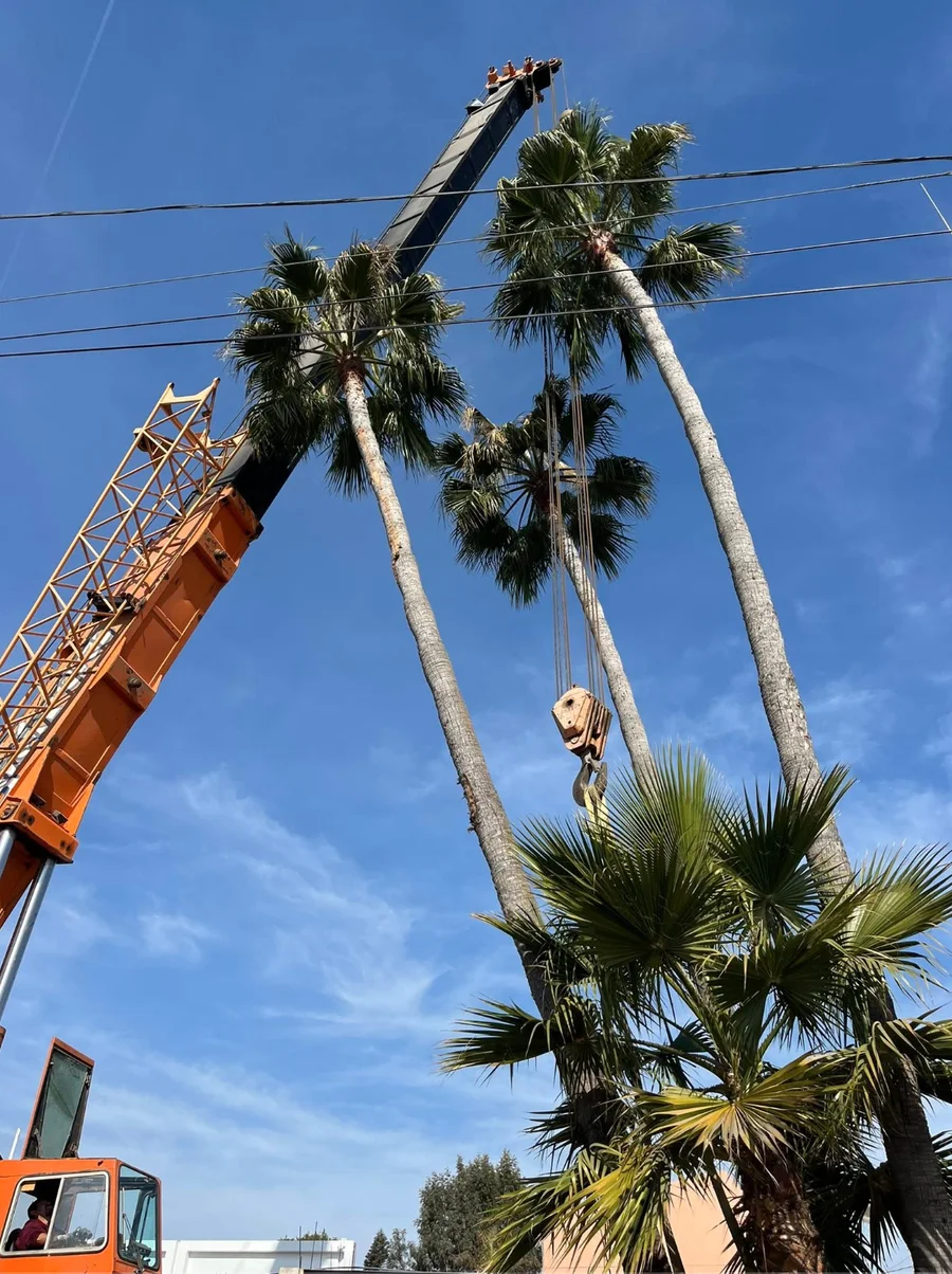 Proyecto Baja Verde